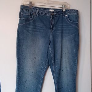 S & Co Women's Skinny Jeans Plus Size